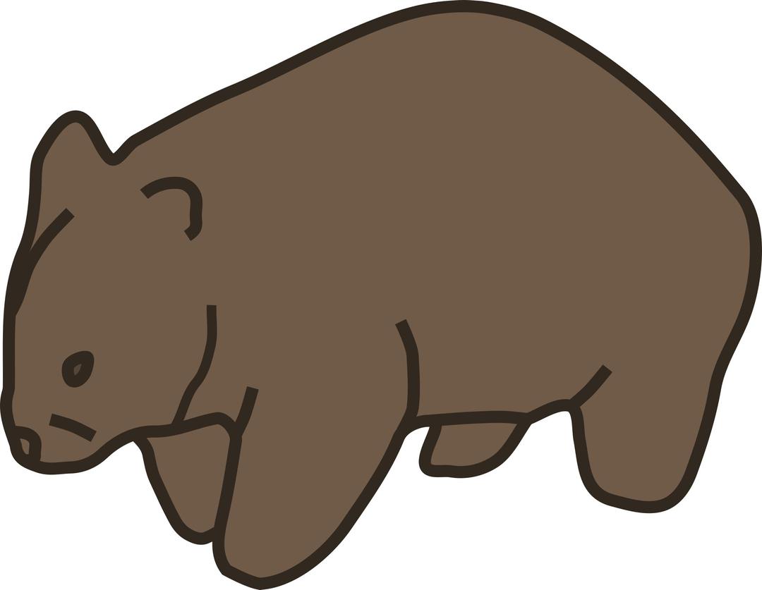 Wombat png transparent