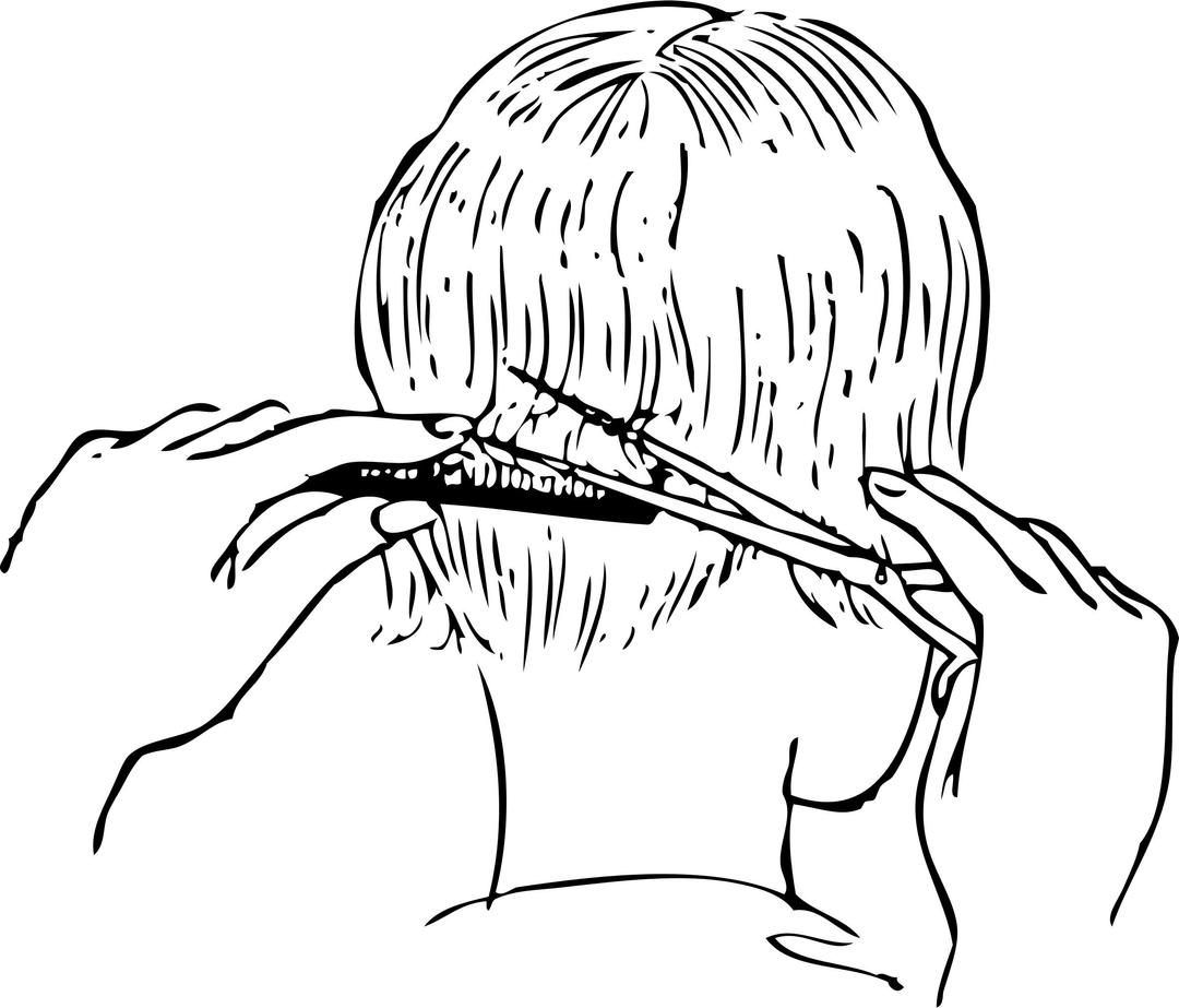 women's haircutting 1 png transparent