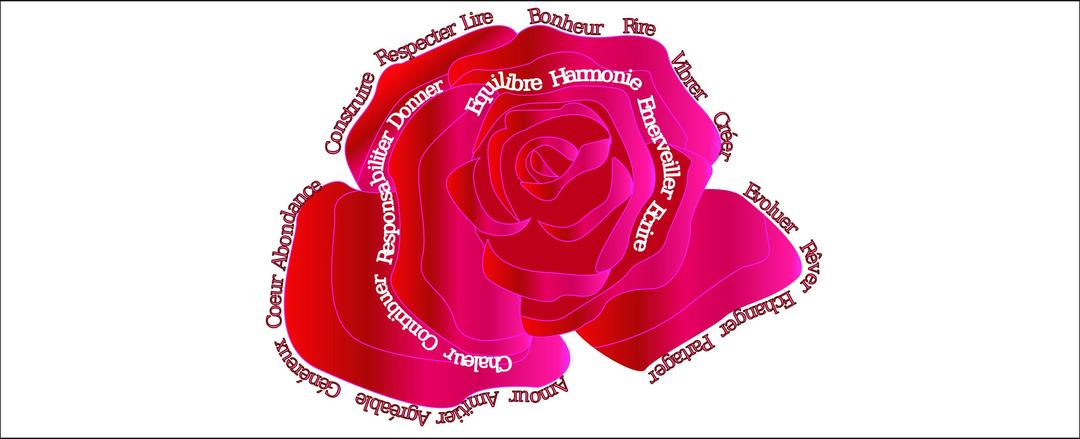 Words in pink png transparent