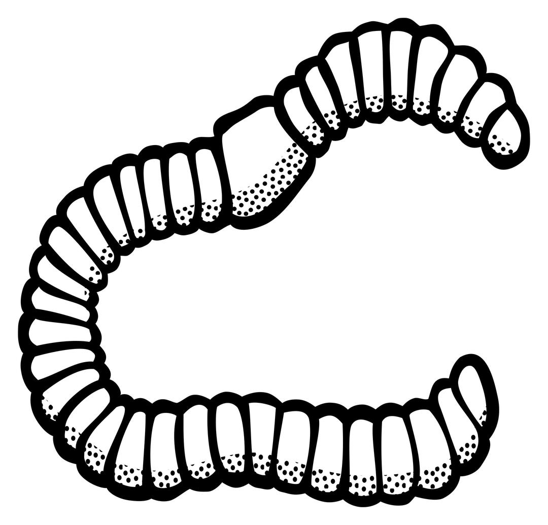 worm - lineart png transparent