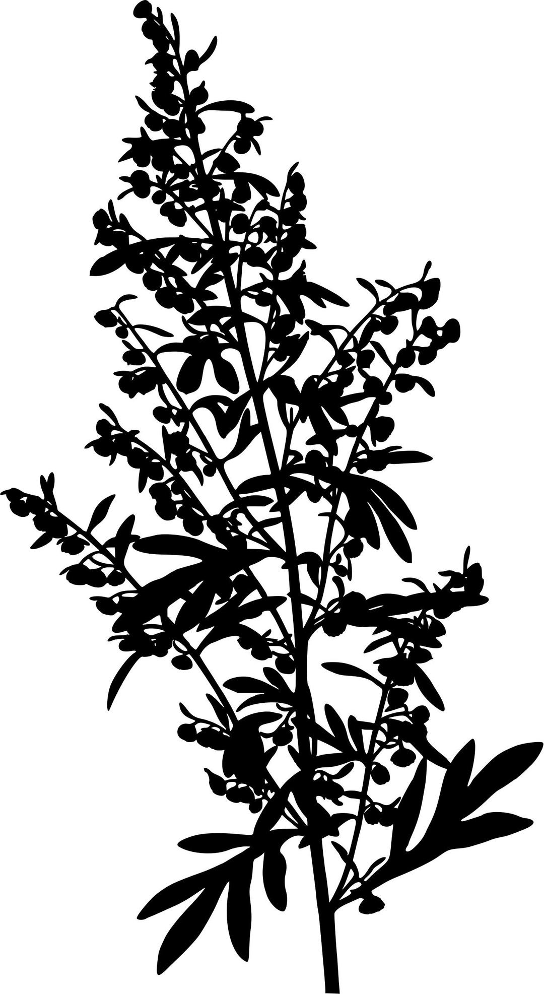 Wormwood (silhouette) png transparent