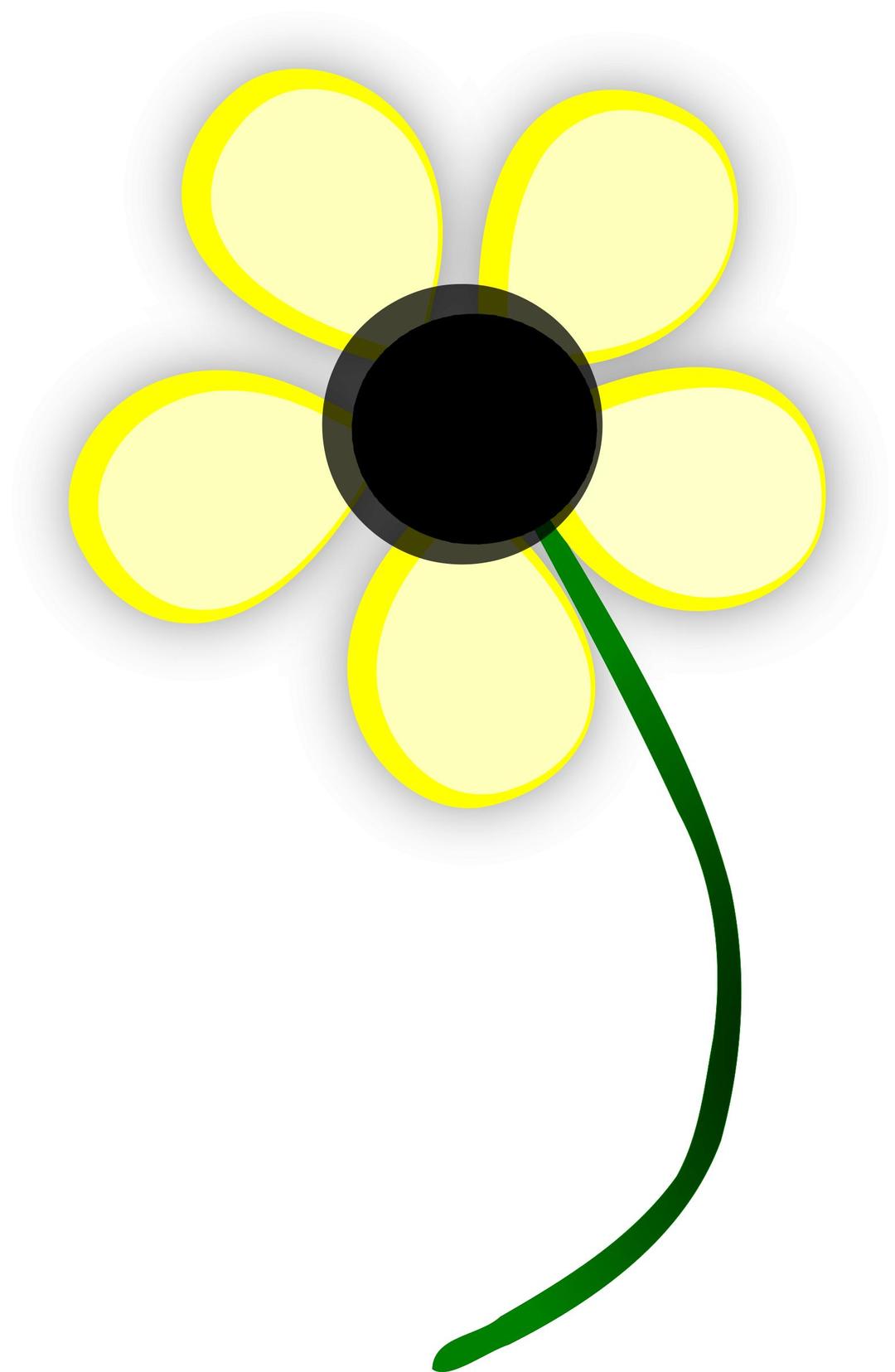 Yellow Daisy png transparent