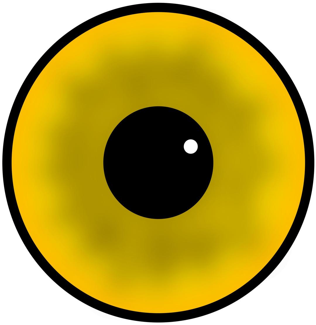 Yellow eye png transparent