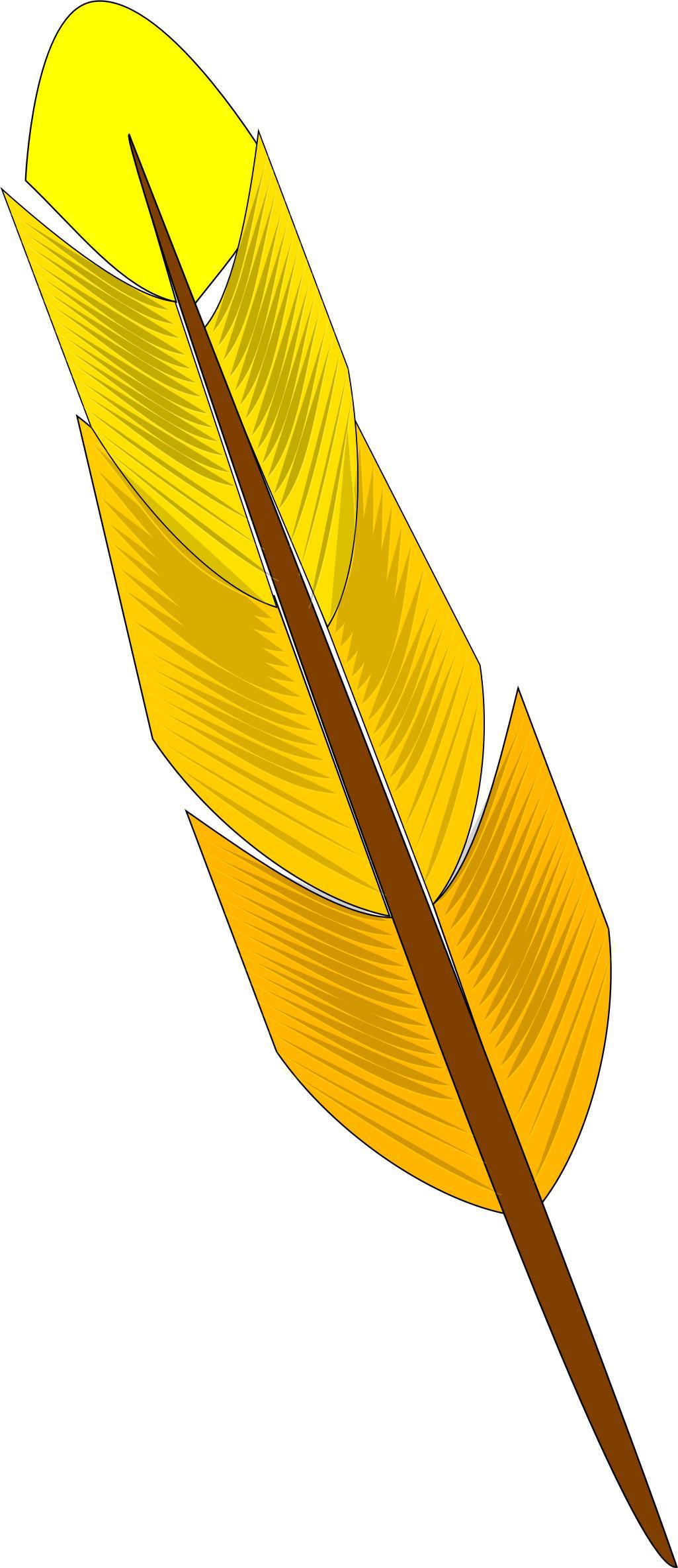 Yellow feather png transparent