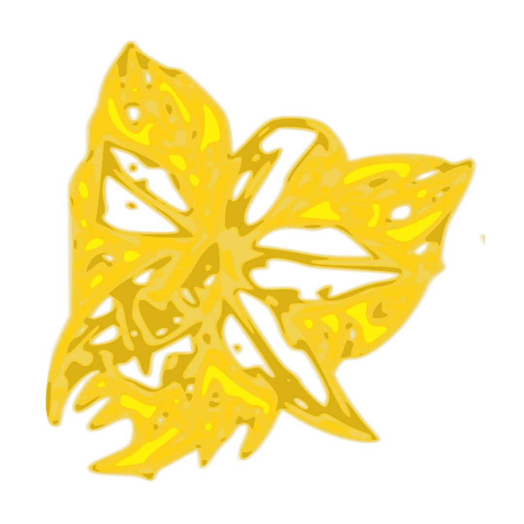 Yellow Flower 1 png transparent