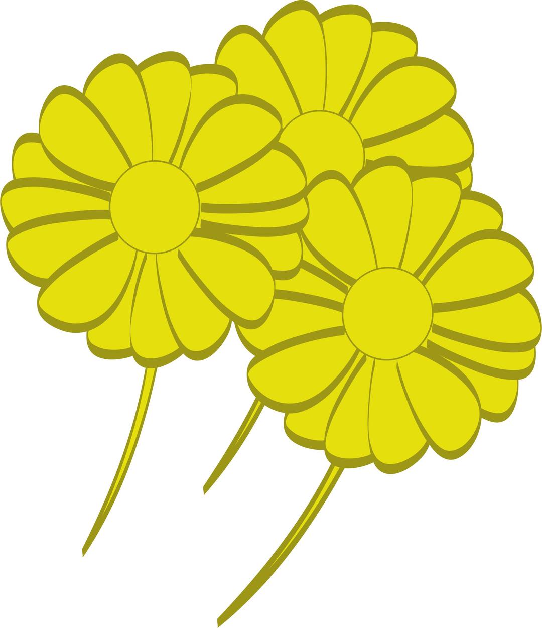 yellow flowers png transparent