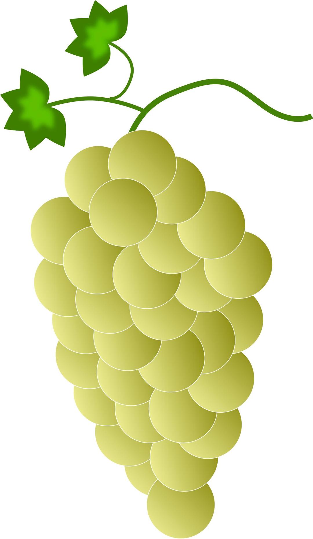 yellow grapes png transparent