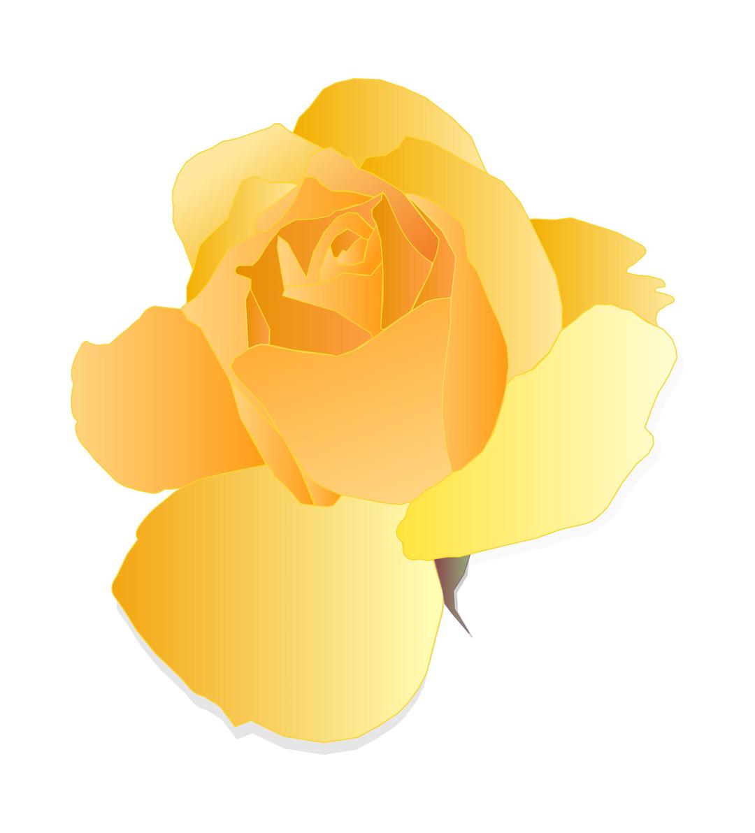 Yellow Rose png transparent