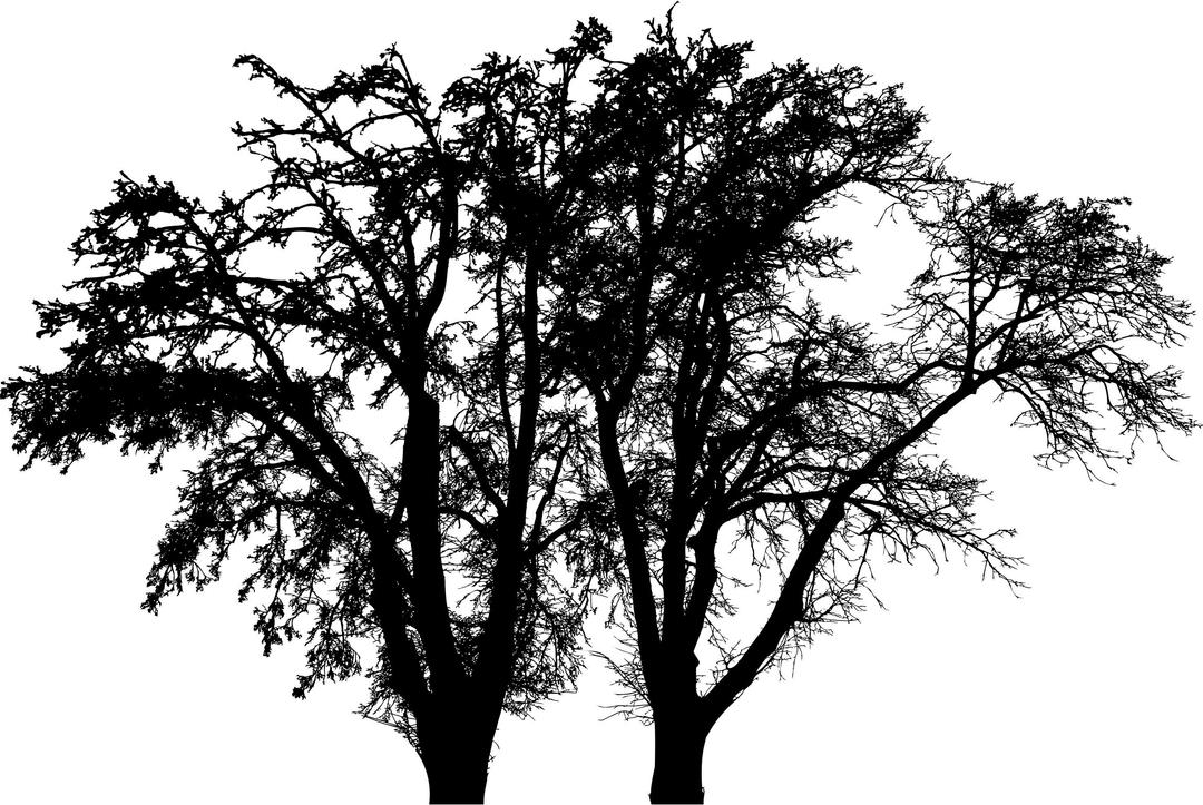 Yet Another Tree Silhouette png transparent