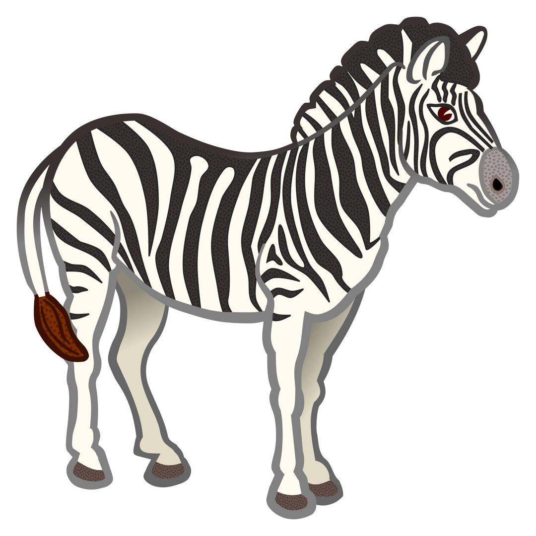 zebra - coloured png transparent