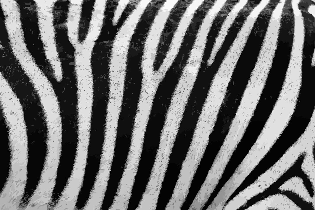 Zebra fur png transparent