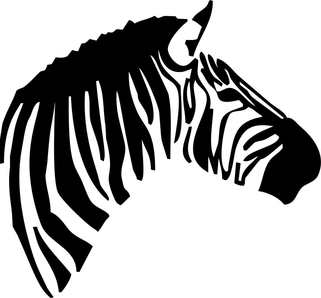 Zebra Head png transparent