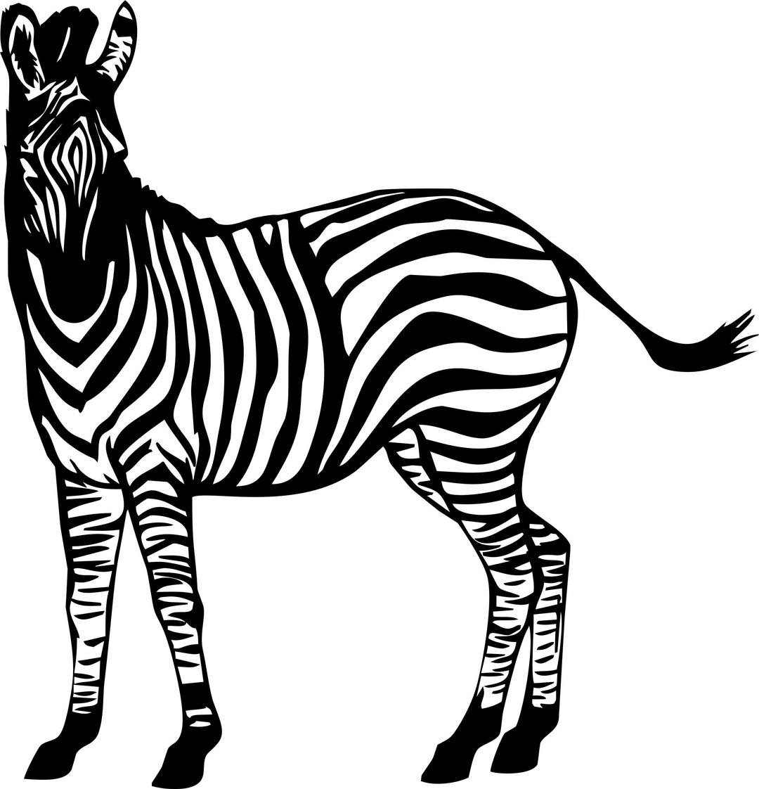 Zebra Illustration png transparent