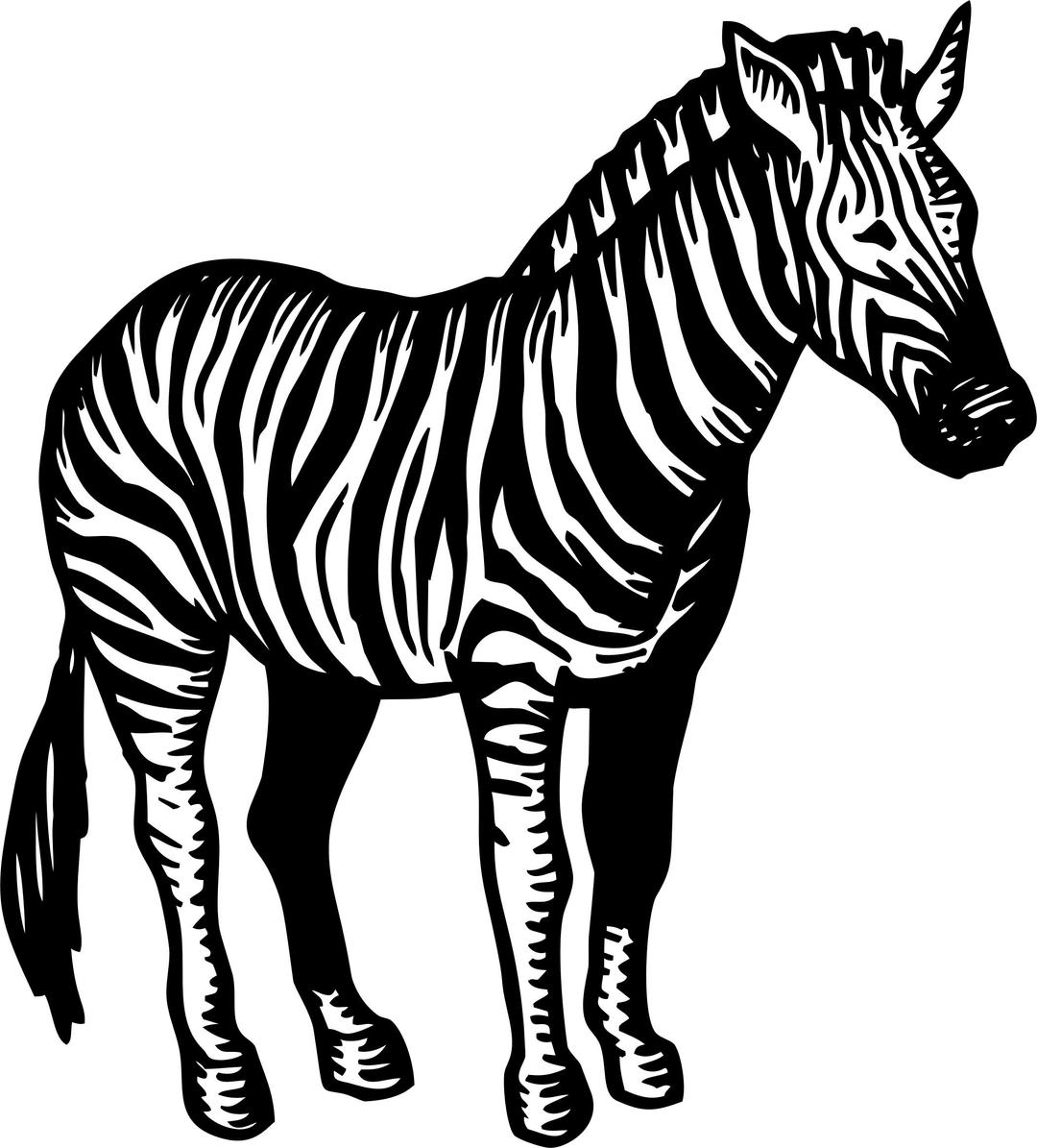 Zebra Illustration 2 png transparent