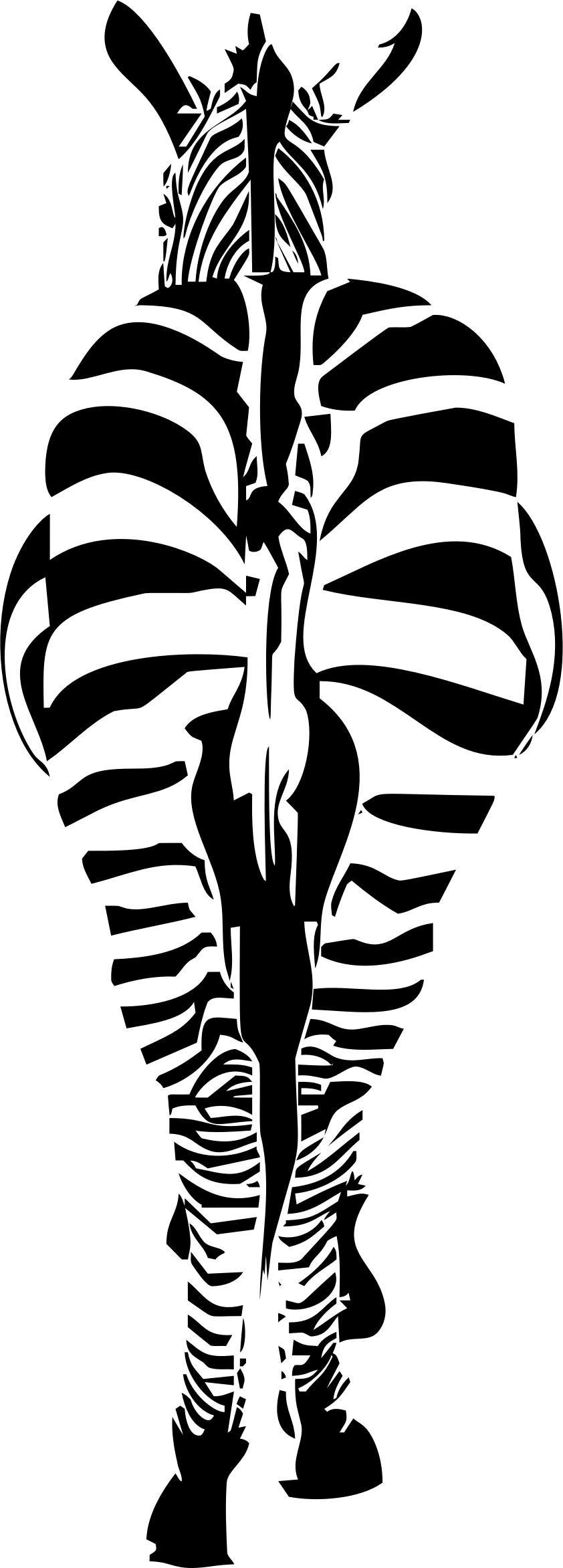 Zebra Illustration Rear png transparent
