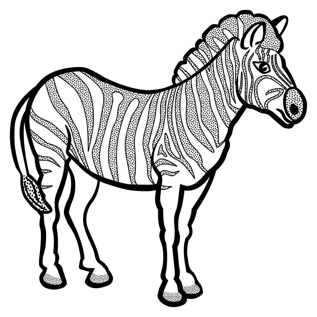 zebra - lineart png transparent