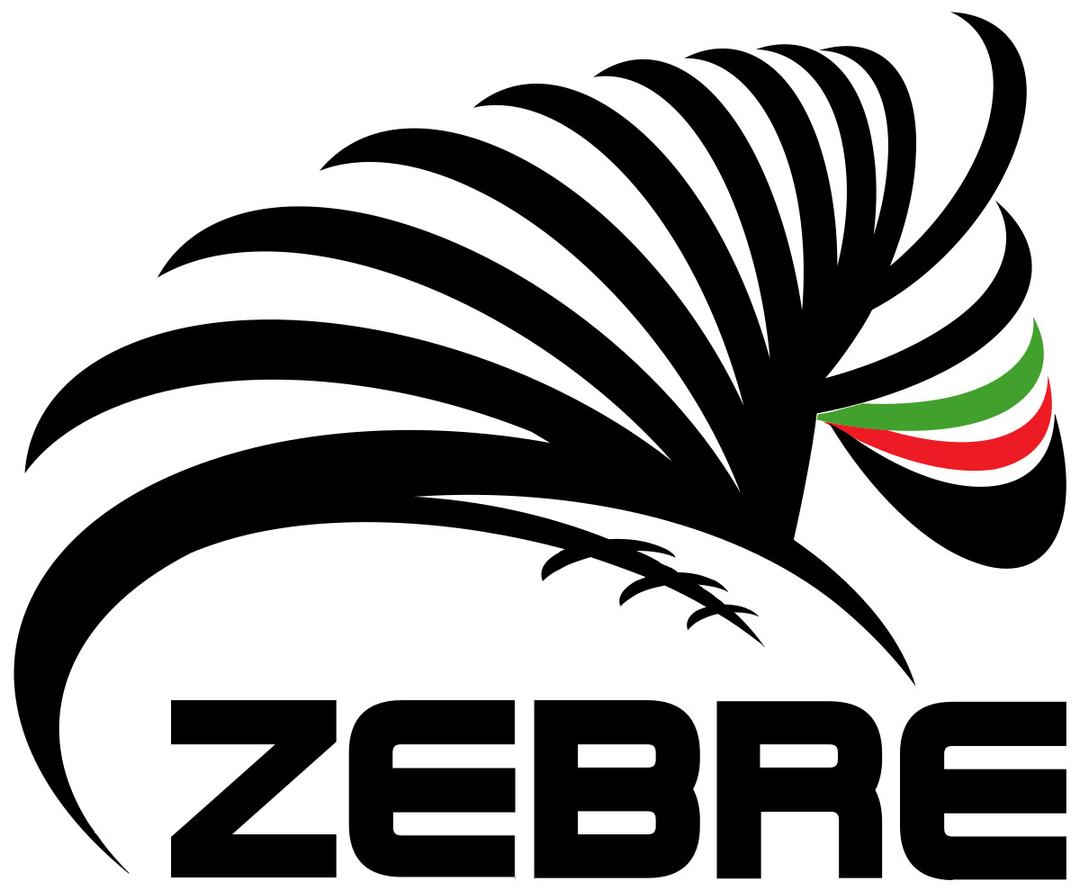 Zebre Rugby Logo png transparent