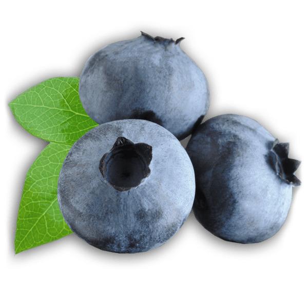 Zoom on Blueberries png transparent