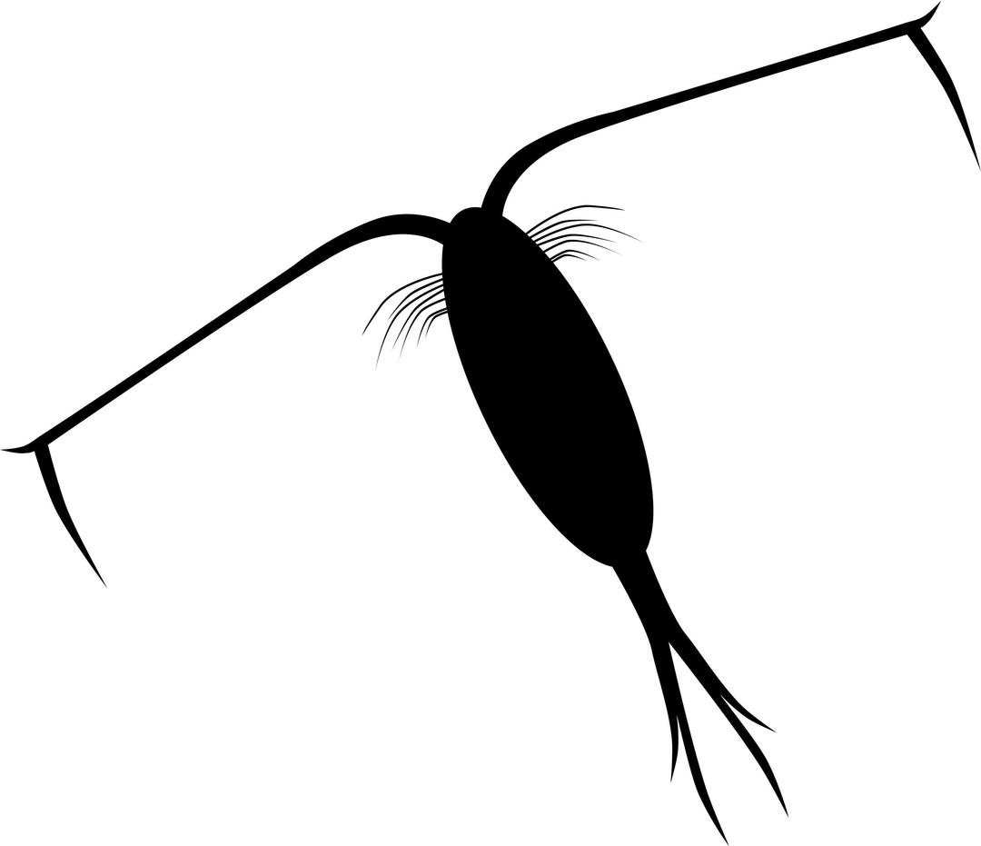 Zooplankton silhouette png transparent
