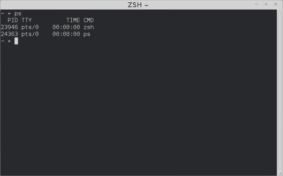 ZSH Terminal png transparent