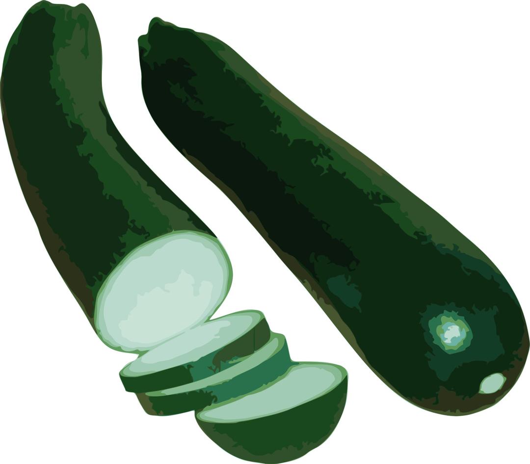 zucchini png transparent