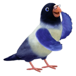 3rd&Bird Mr.Lovebird png icons