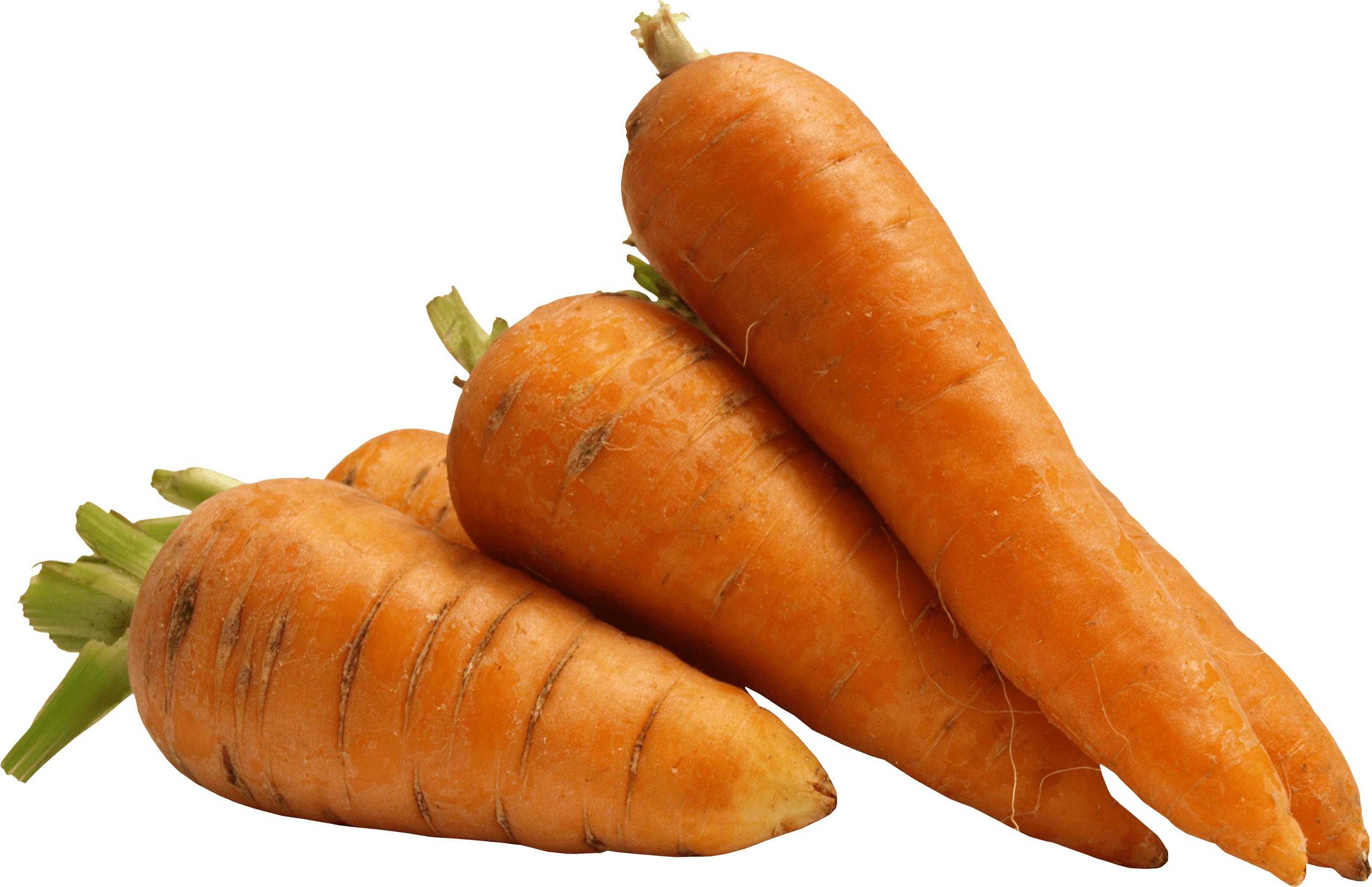 A Few Carrots png icons