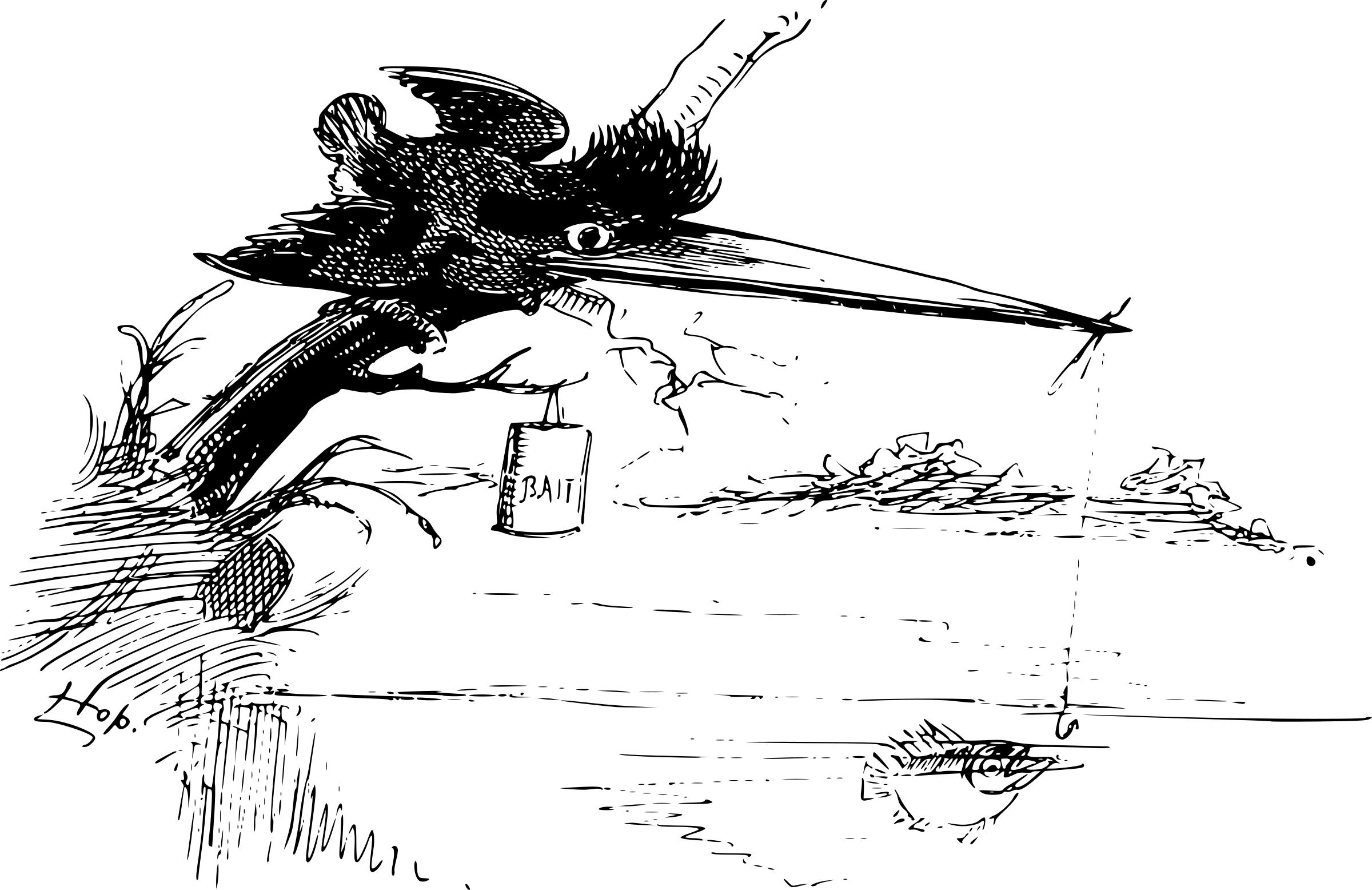 A fishing kingfisher png