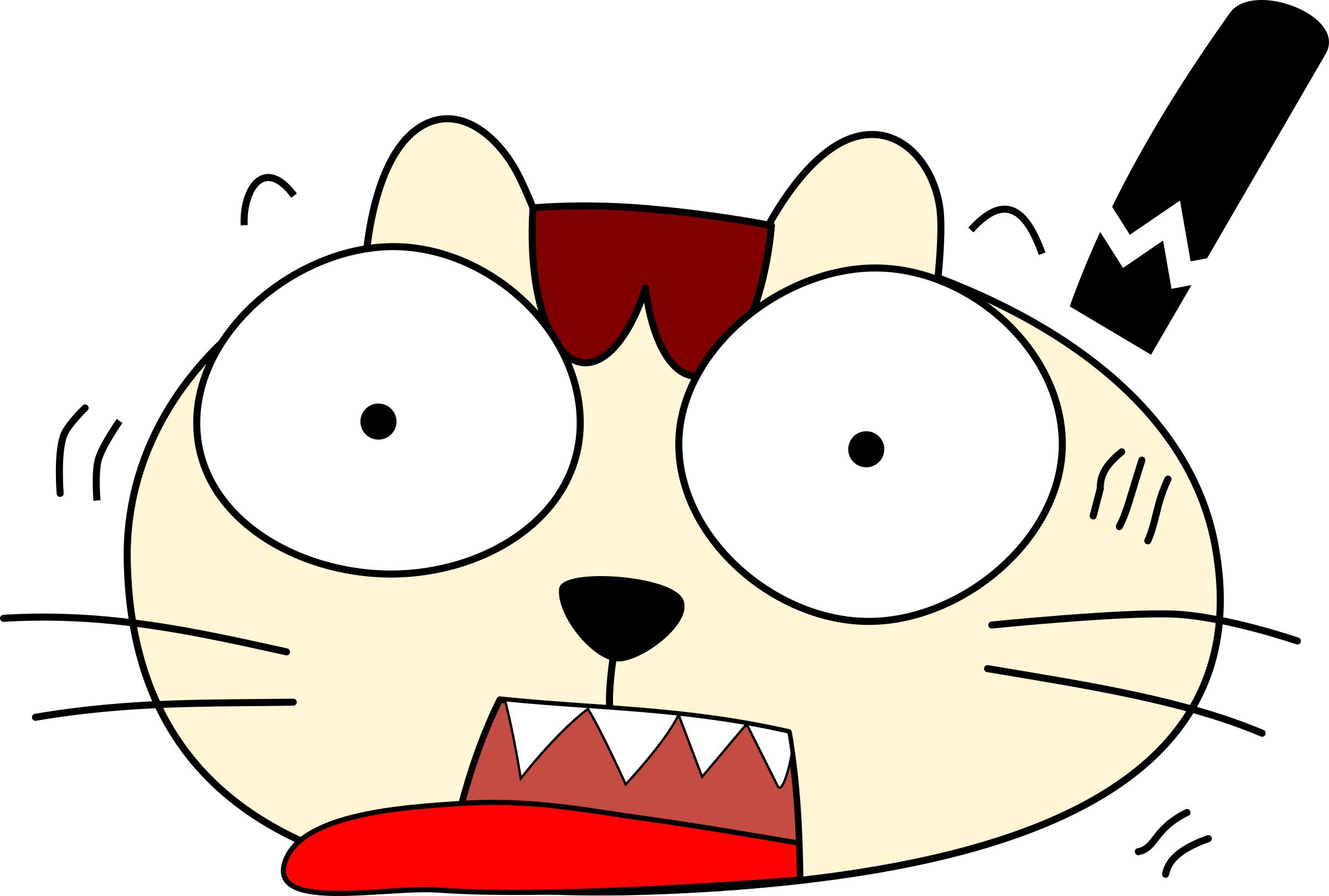 A Scared Cat png
