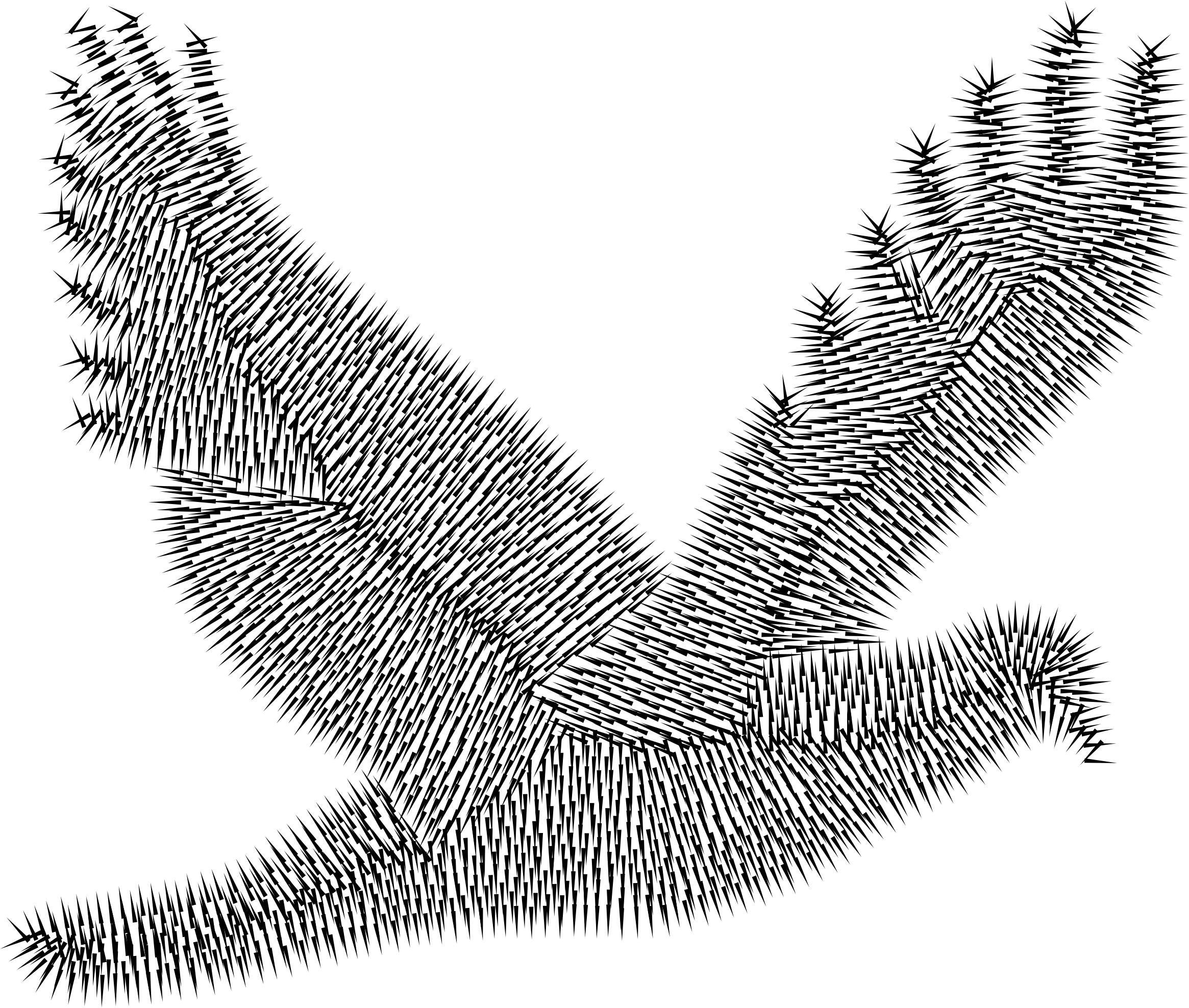 Abstract Peace Dove png