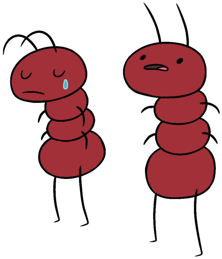 Adventure Time Ants icons