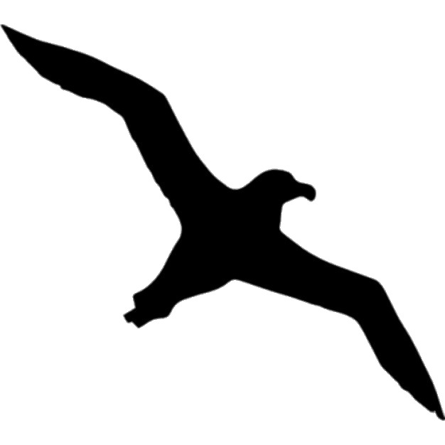Albatross Silhouette png icons