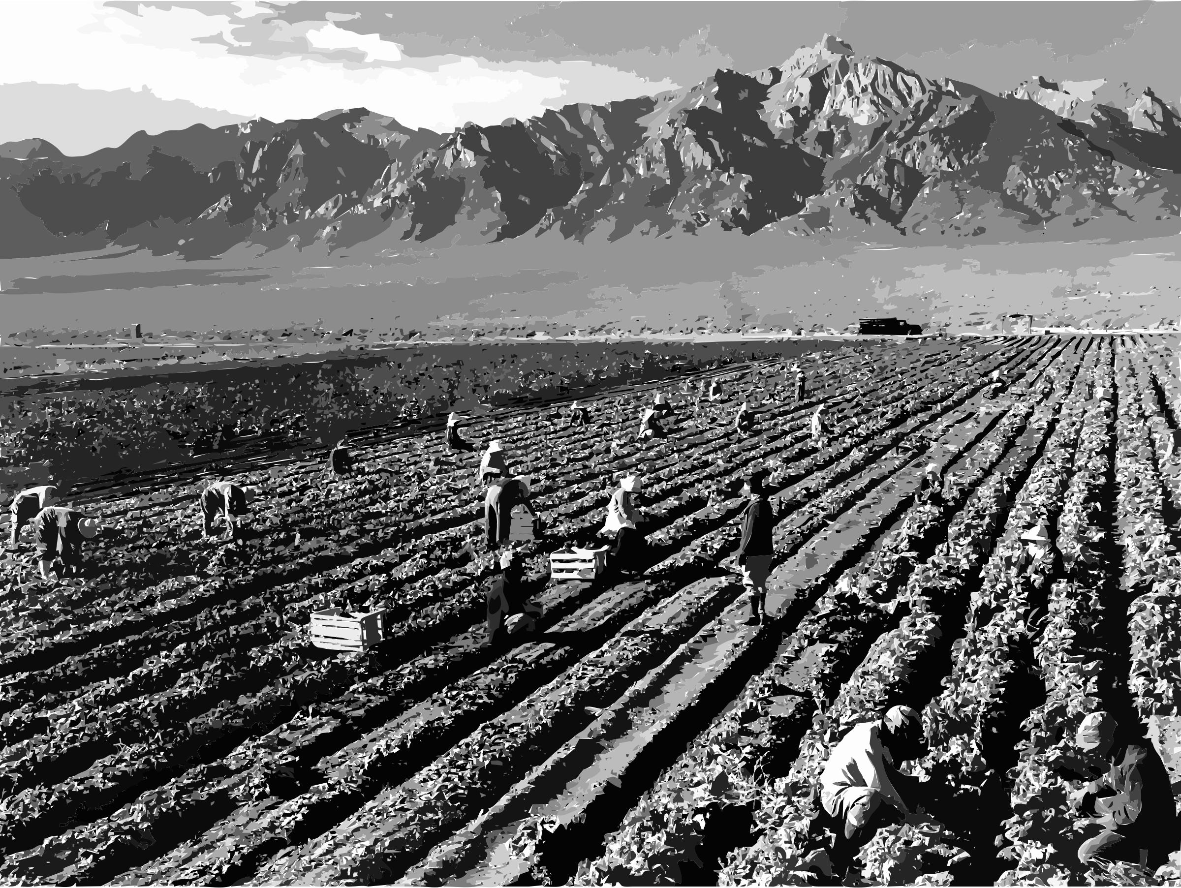 Ansel Adams - Farm workers and Mt. Williamson png