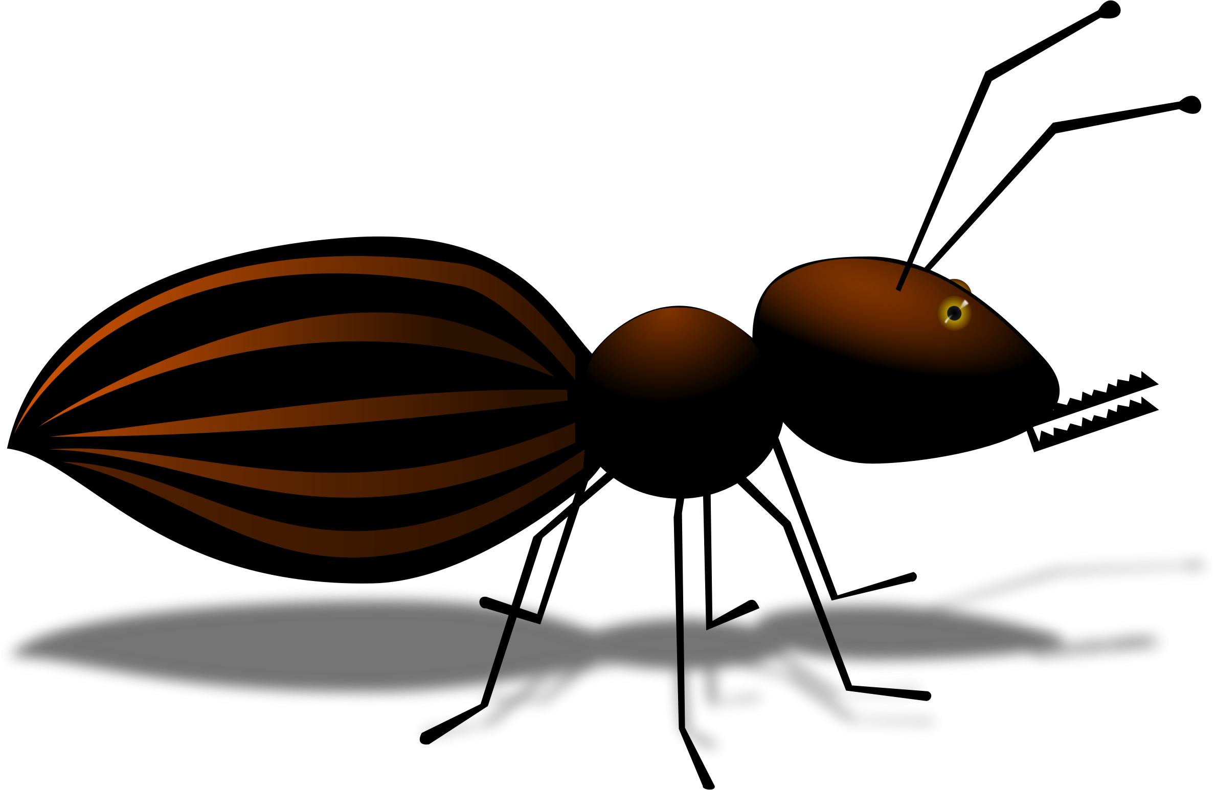 Ant Cartoon Style png