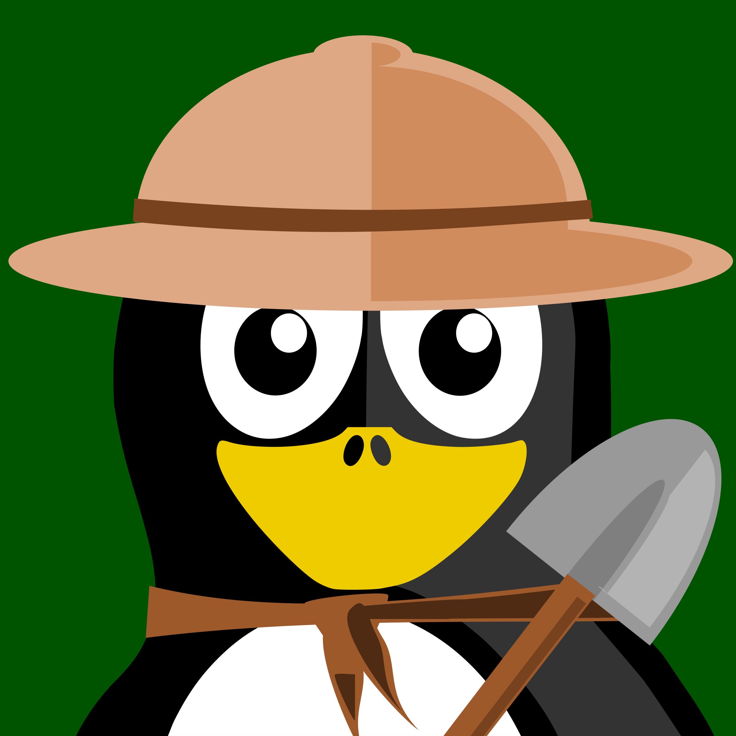 archeologist penguin png