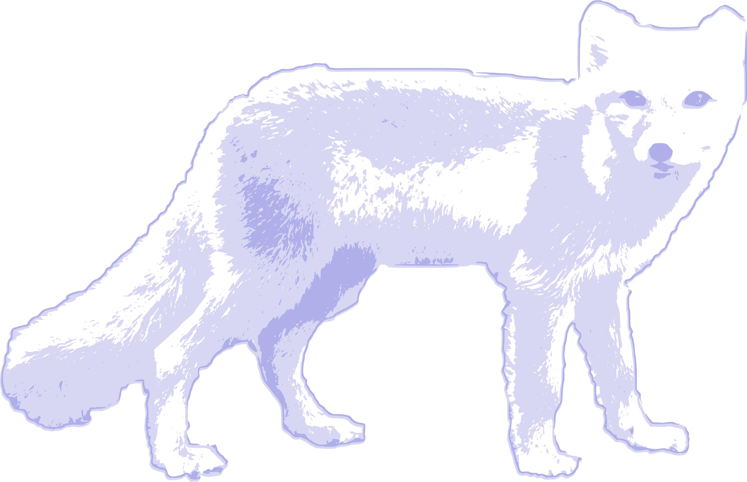 Arctic fox png