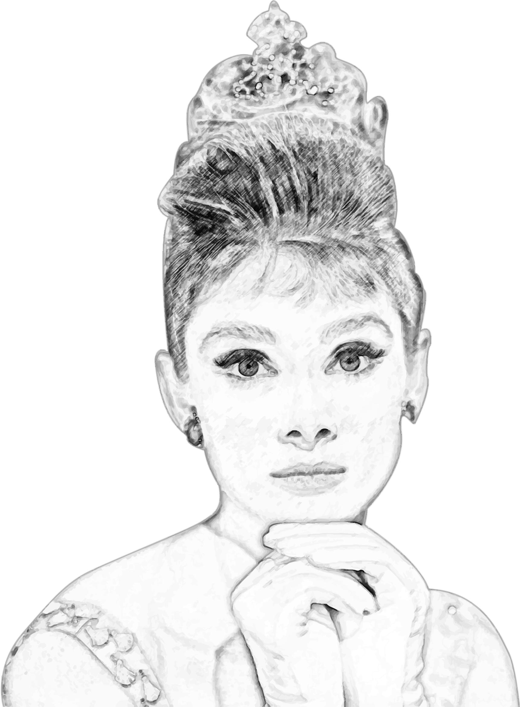 Audrey Hepburn Pencil Sketch Portrait png