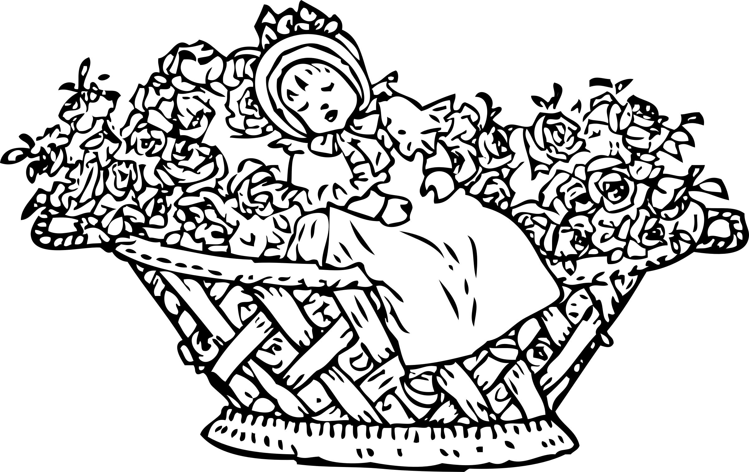 baby in rose basket png