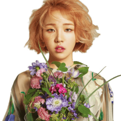 Baek A Yeon Flowers icons