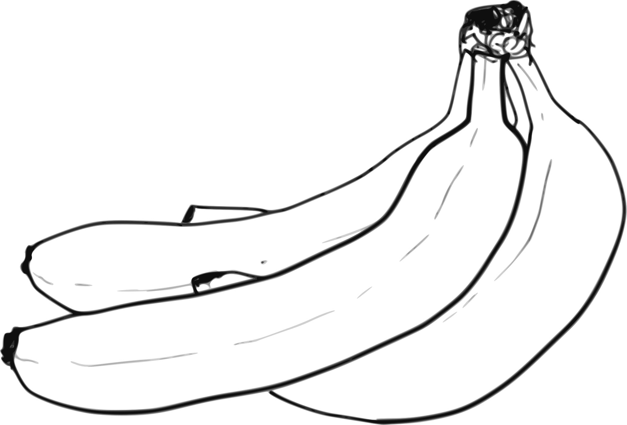 Banana Bunch Line Art png