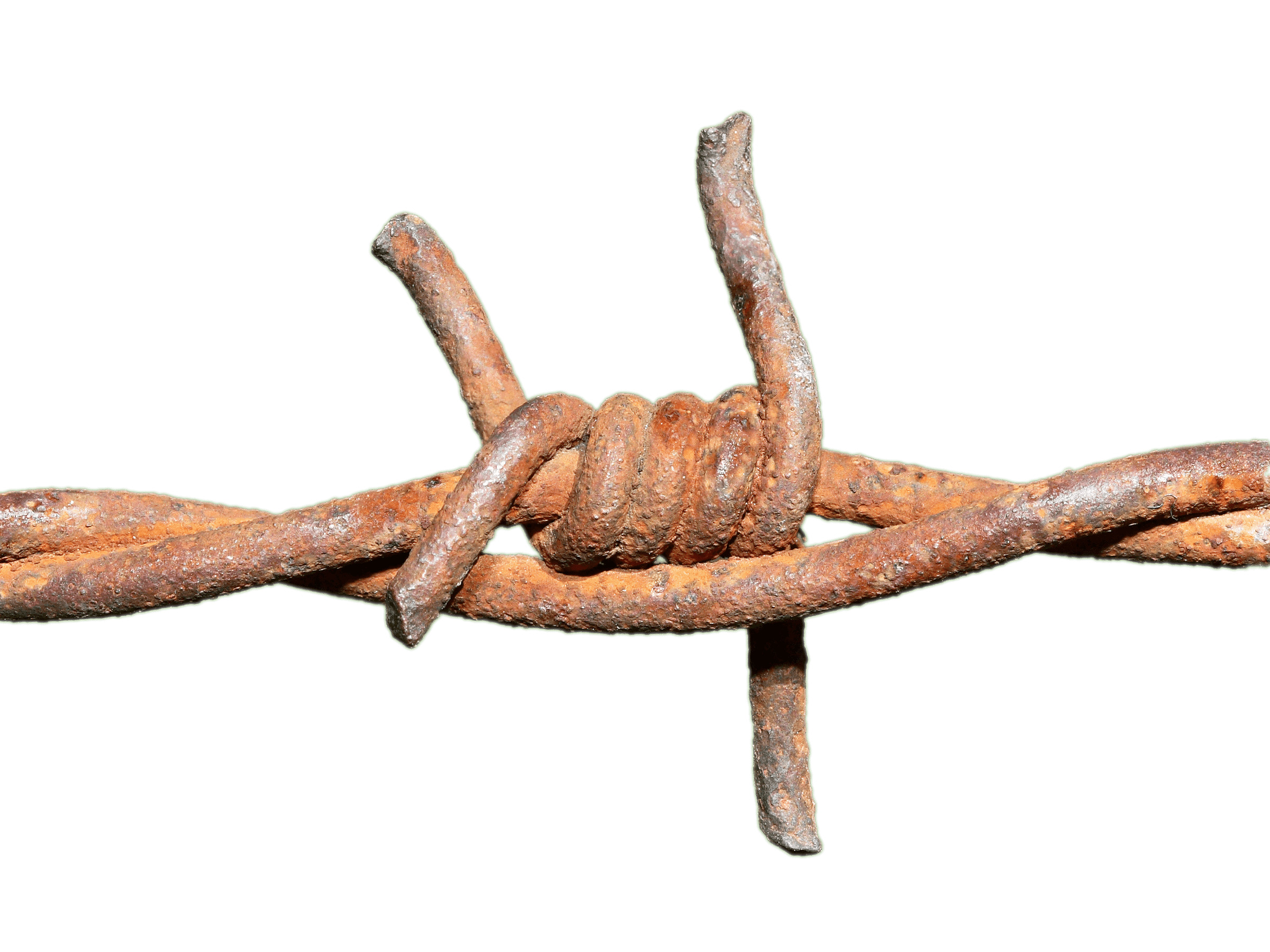 Barbed Wire Rusted Knot png icons