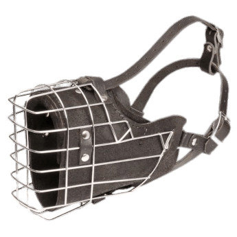 Basket Cage Dog Muzzle icons