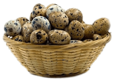 Basket Of Quail Eggs icons