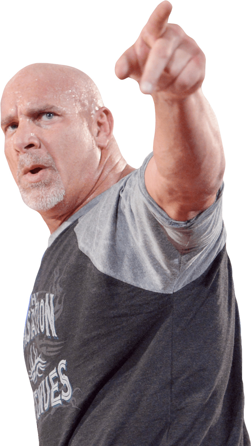 Bill Goldberg Pointing Up png icons