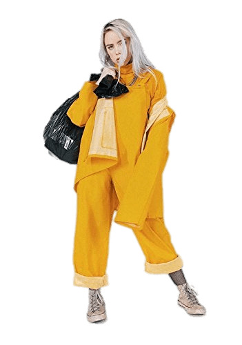 Billie Eilish Posing Icons Png Free Png And Icons Downloads