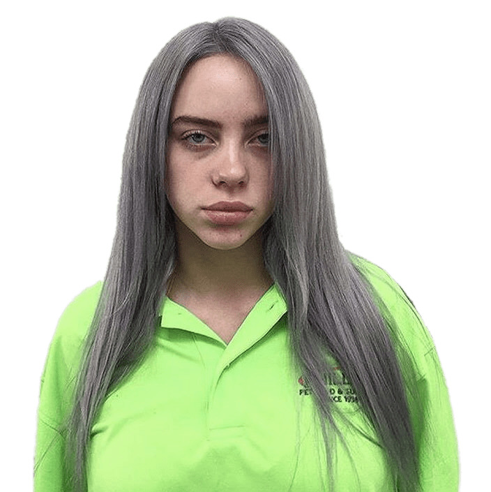 Billie Eilish Icons Png Free Png And Icons Downloads