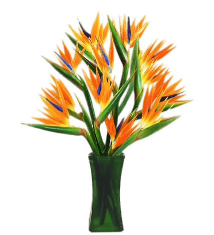 Bird Of Paradise Flowers In A Vase png icons