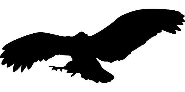 Bird Silhouette Eagle icons