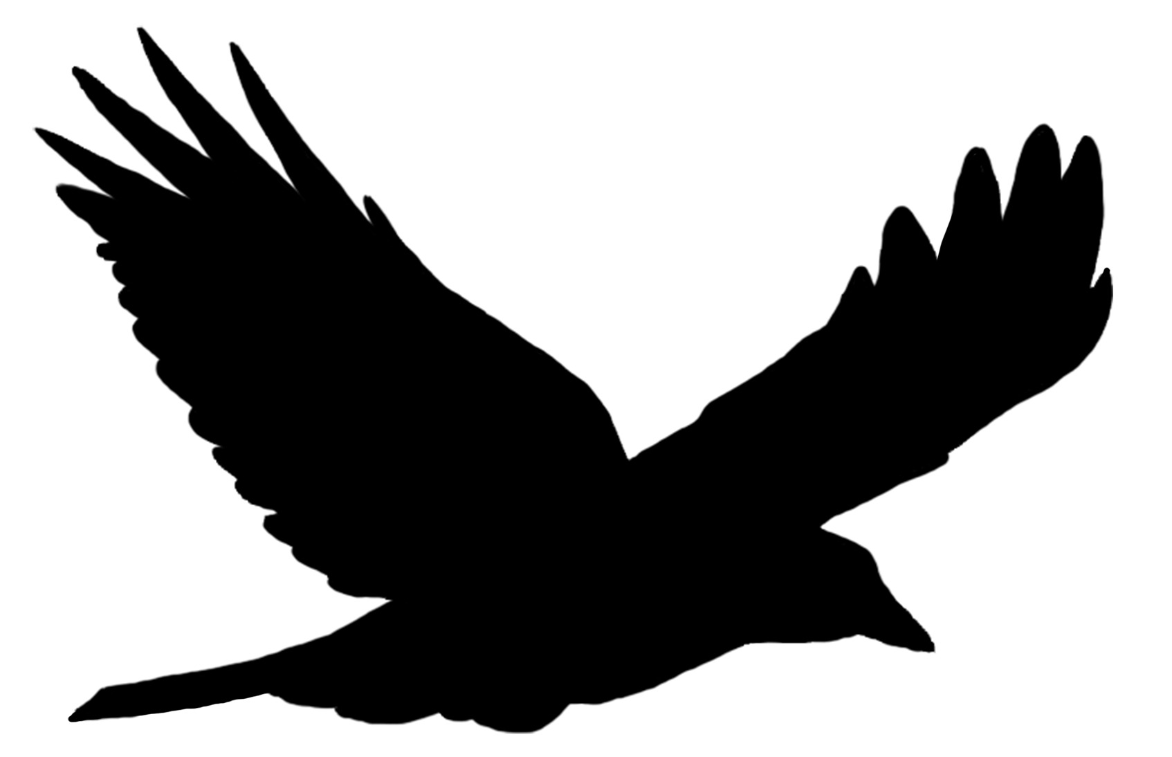 Bird Silhouette Solo Flying png