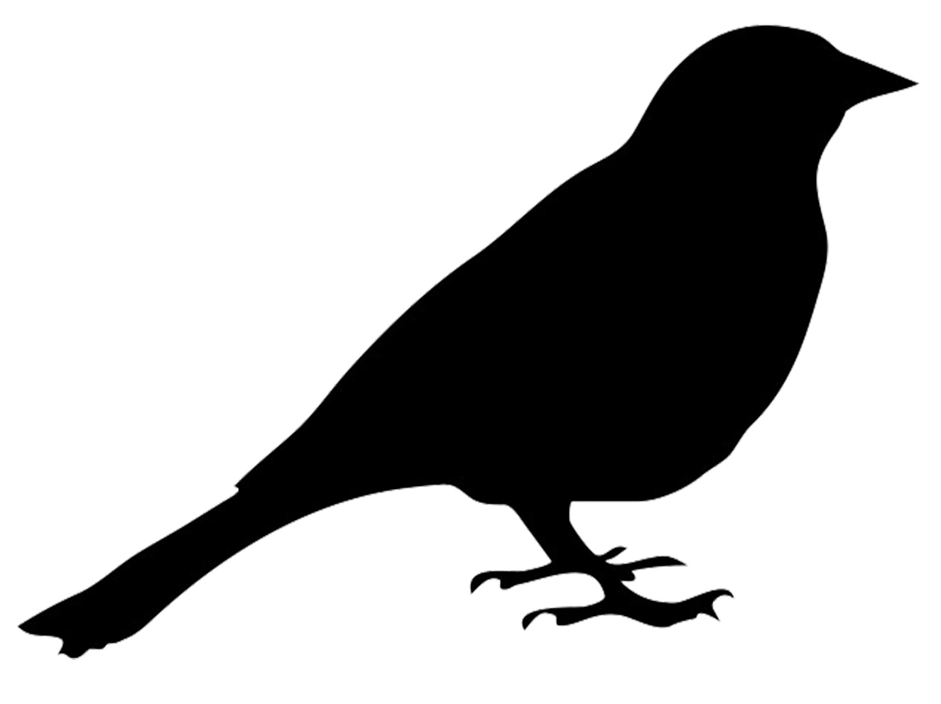 Bird Silhouette icons